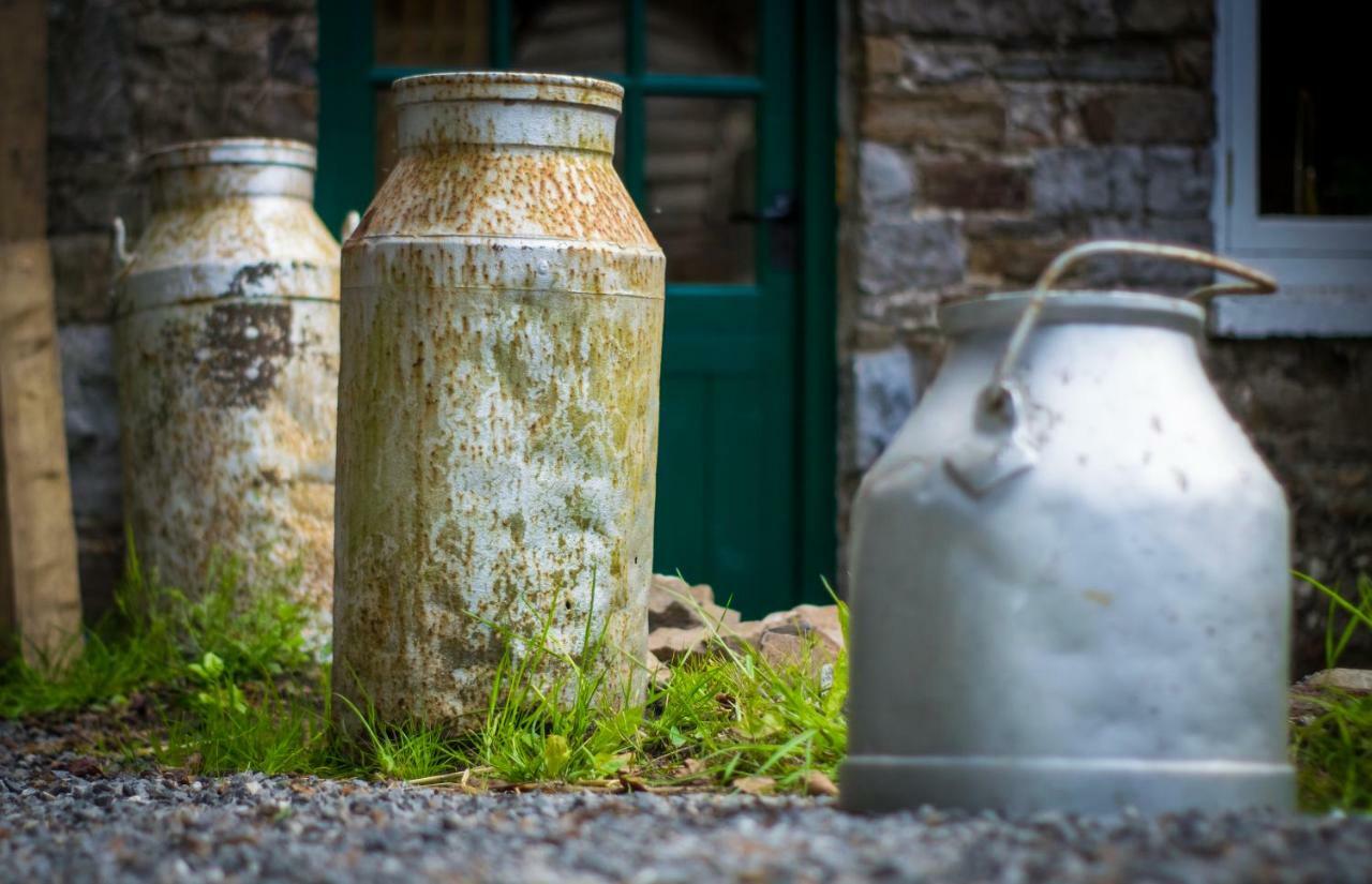 Pontyclerc Farm House Bed And Breakfast Ammanford Exteriér fotografie